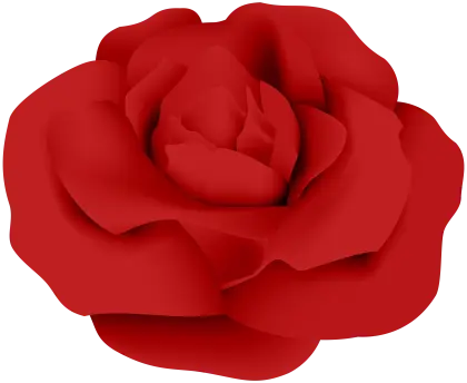 Vibrant Red Rose Flower in Full Bloom