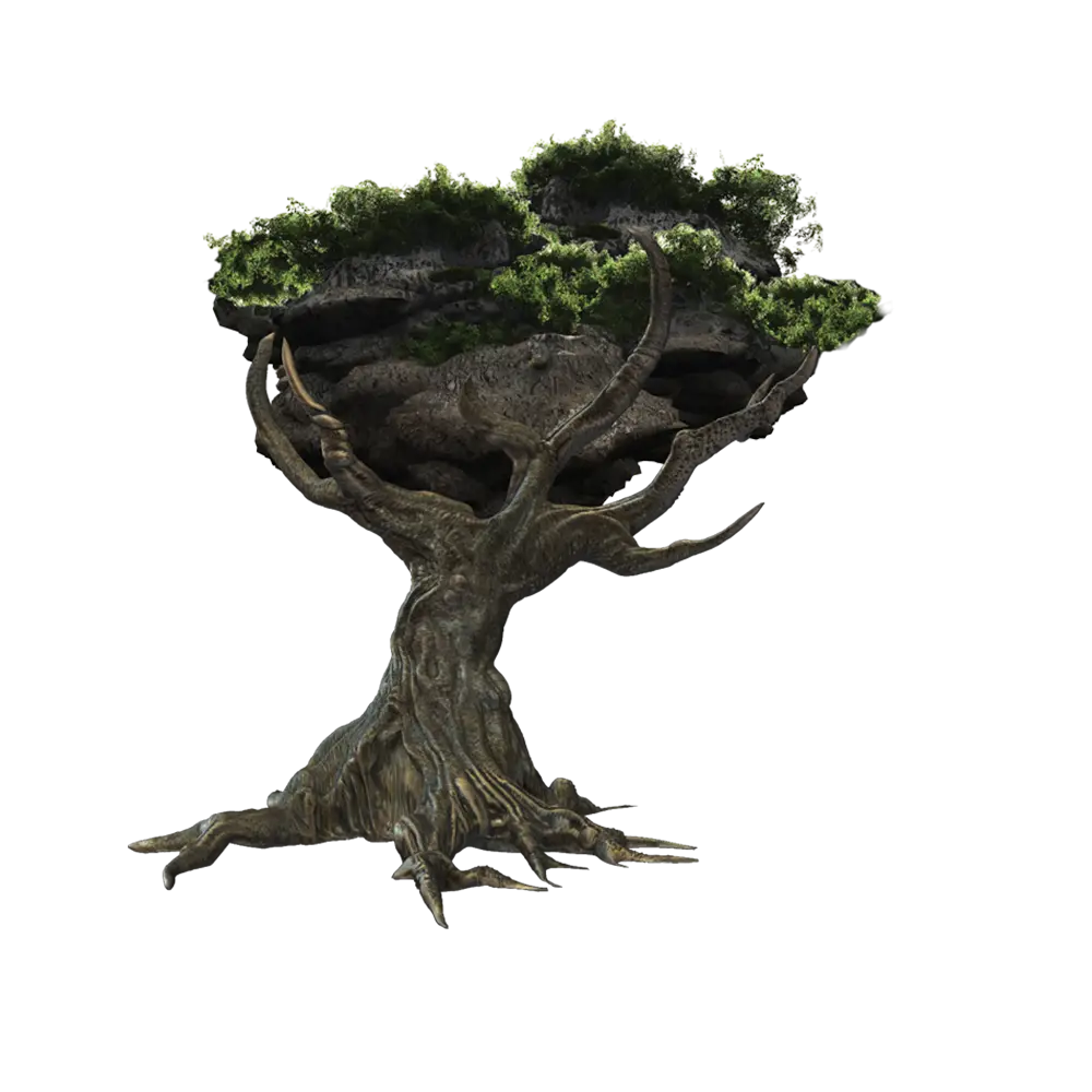 Old Tree with Branches and Leaves