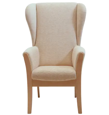 Comfortable Armchair for Home Use