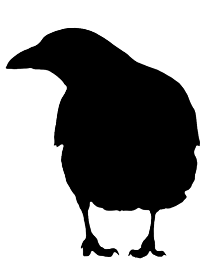 Bird Silhouette Illustration