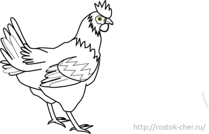 Chicken Outline Drawing