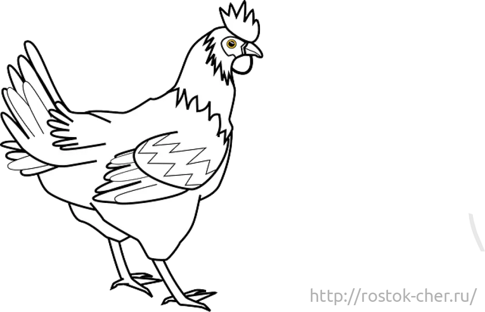 Chicken Outline Drawing