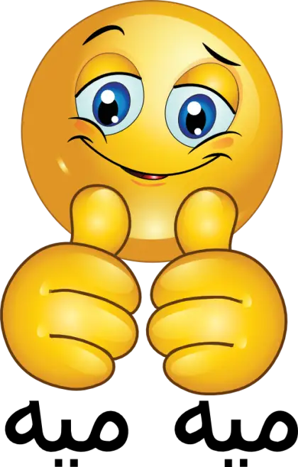 Smiley Face with Thumbs Up Emoji