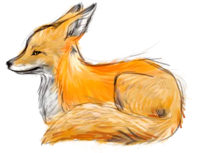 Illustration of an Orange Fox Sitting