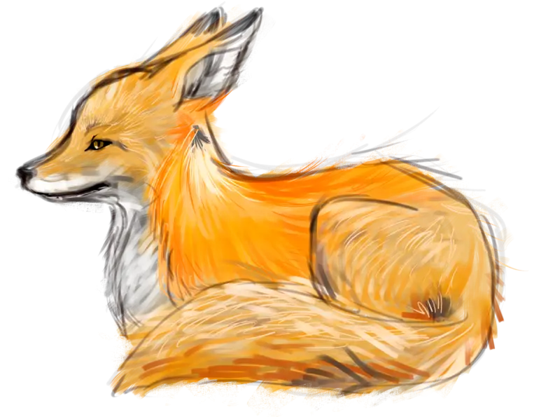 Illustration of an Orange Fox Sitting