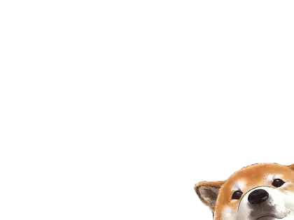 Cute Shiba Inu Dog