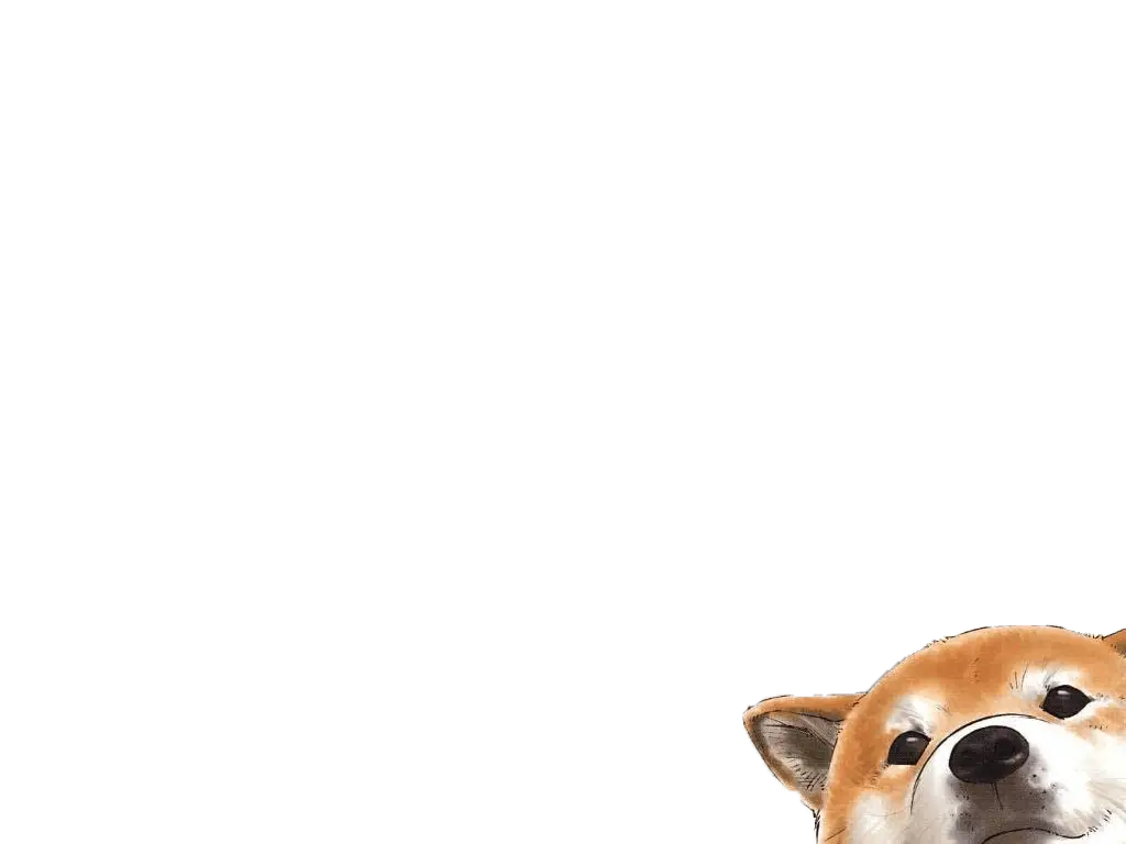 Cute Shiba Inu Dog