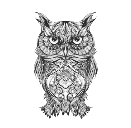 Intricate Owl Drawing