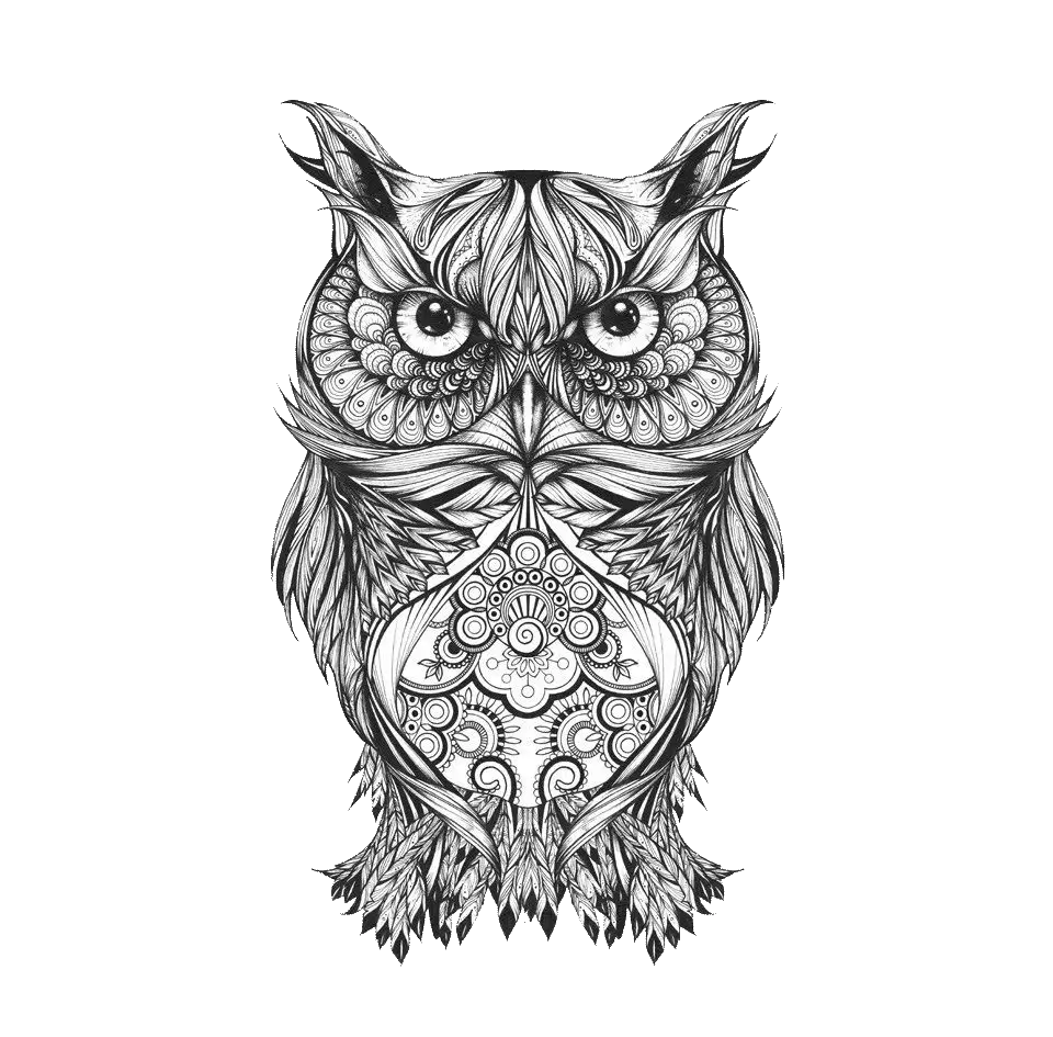 Intricate Owl Drawing