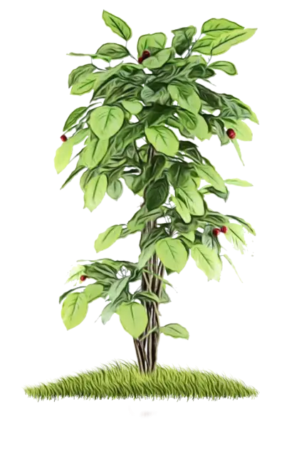 Green Tree with Red Fruits and Grass