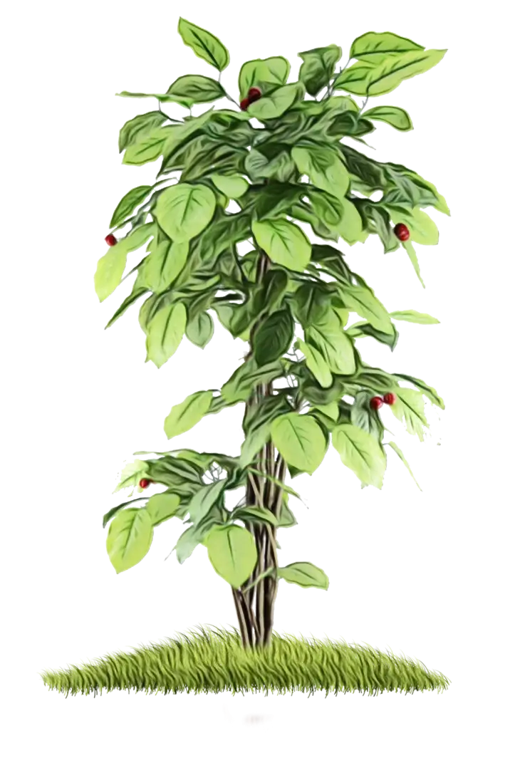 Green Tree with Red Fruits and Grass