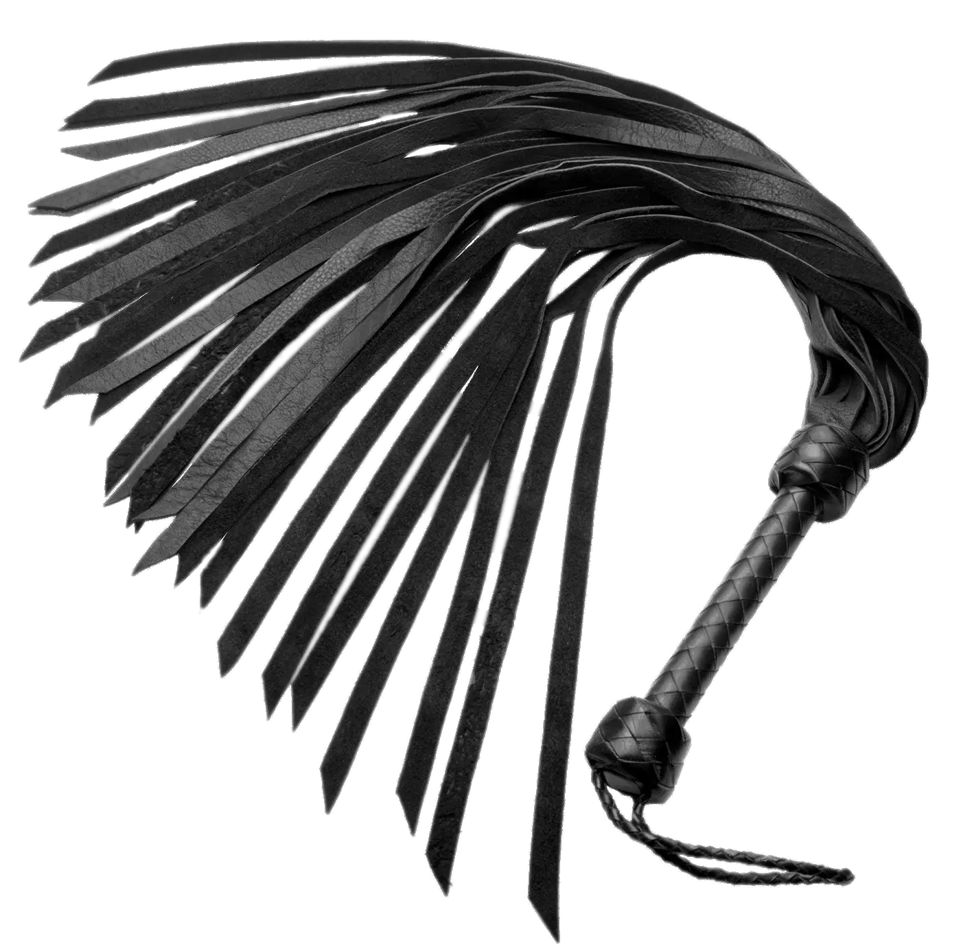 Black Leather Whip with Multiple Strips