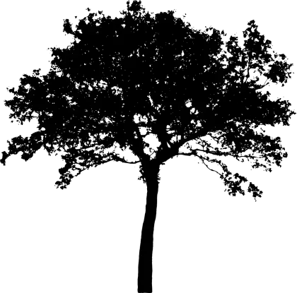 Black Silhouette of a Tree Illustration