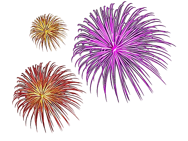 Colorful Fireworks Illustration