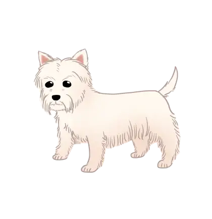 Cartoon Illustration of White Fluffy Dog