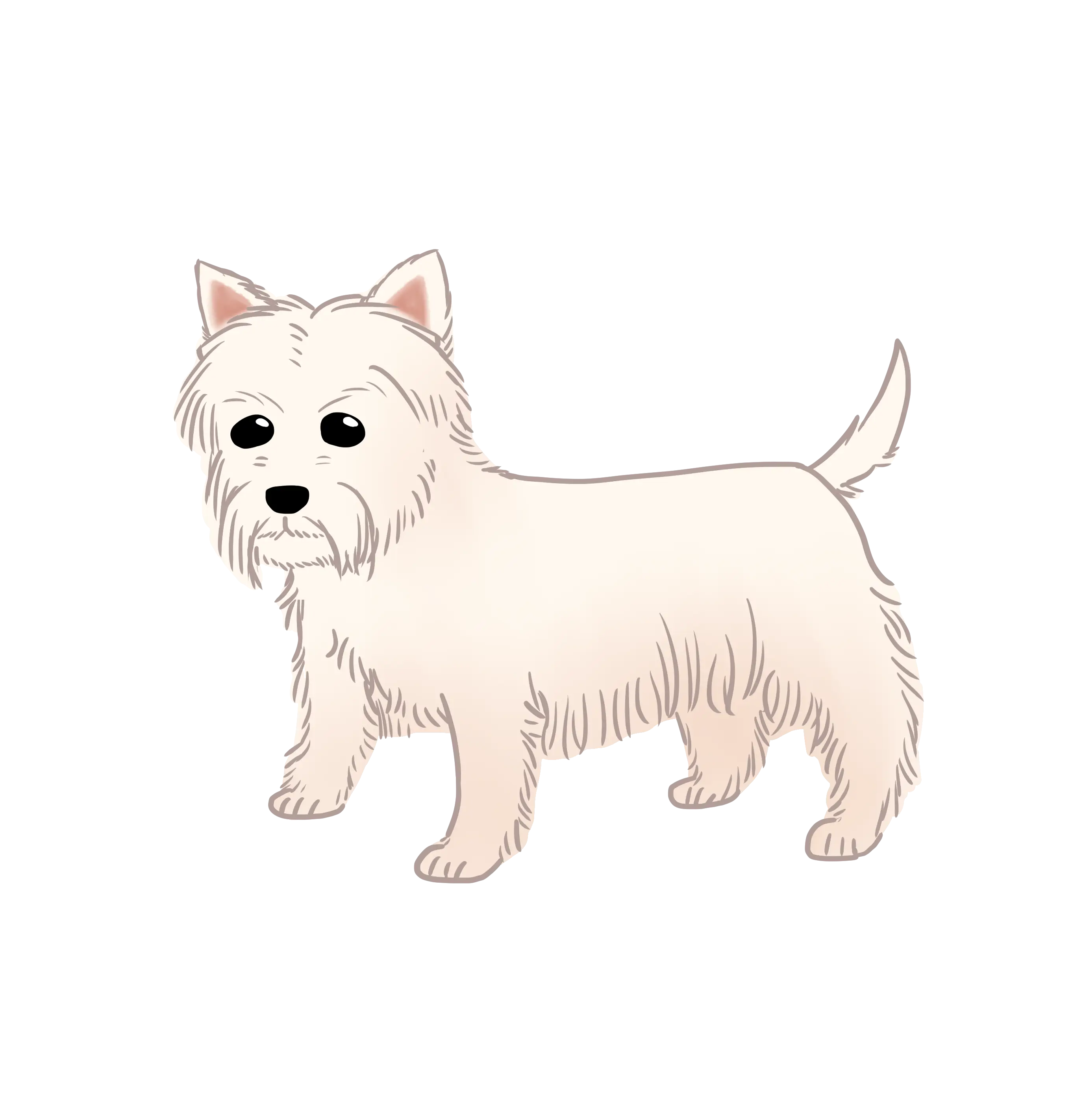 Cartoon Illustration of White Fluffy Dog