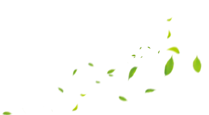 Floating Green Leaves Design Element