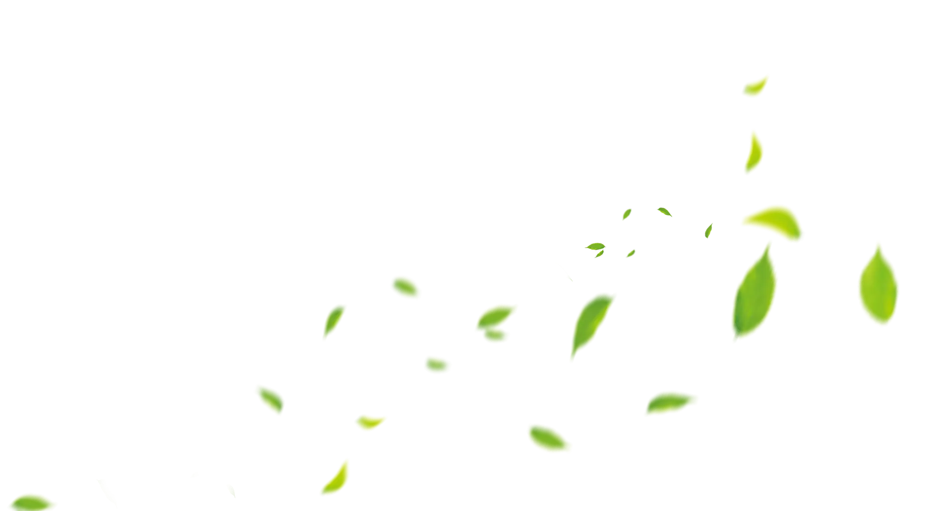 Floating Green Leaves Design Element