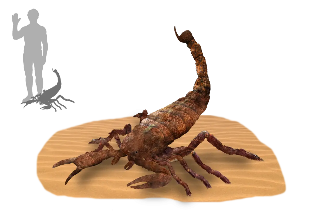 Giant Scorpion in Desert