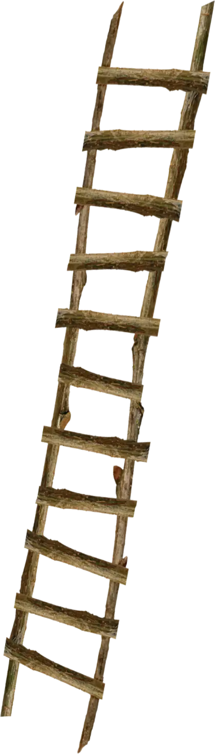 Wooden Ladder with Rustic Design