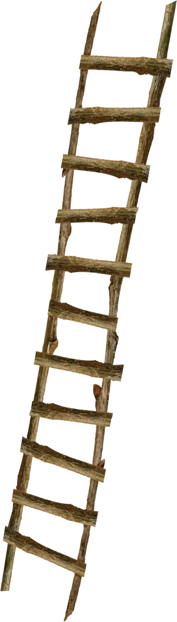 Wooden Ladder with Rustic Design