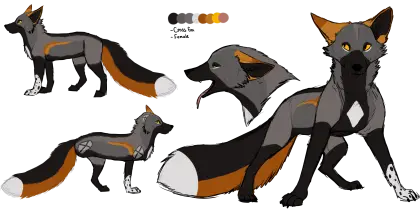 Fox Character Design