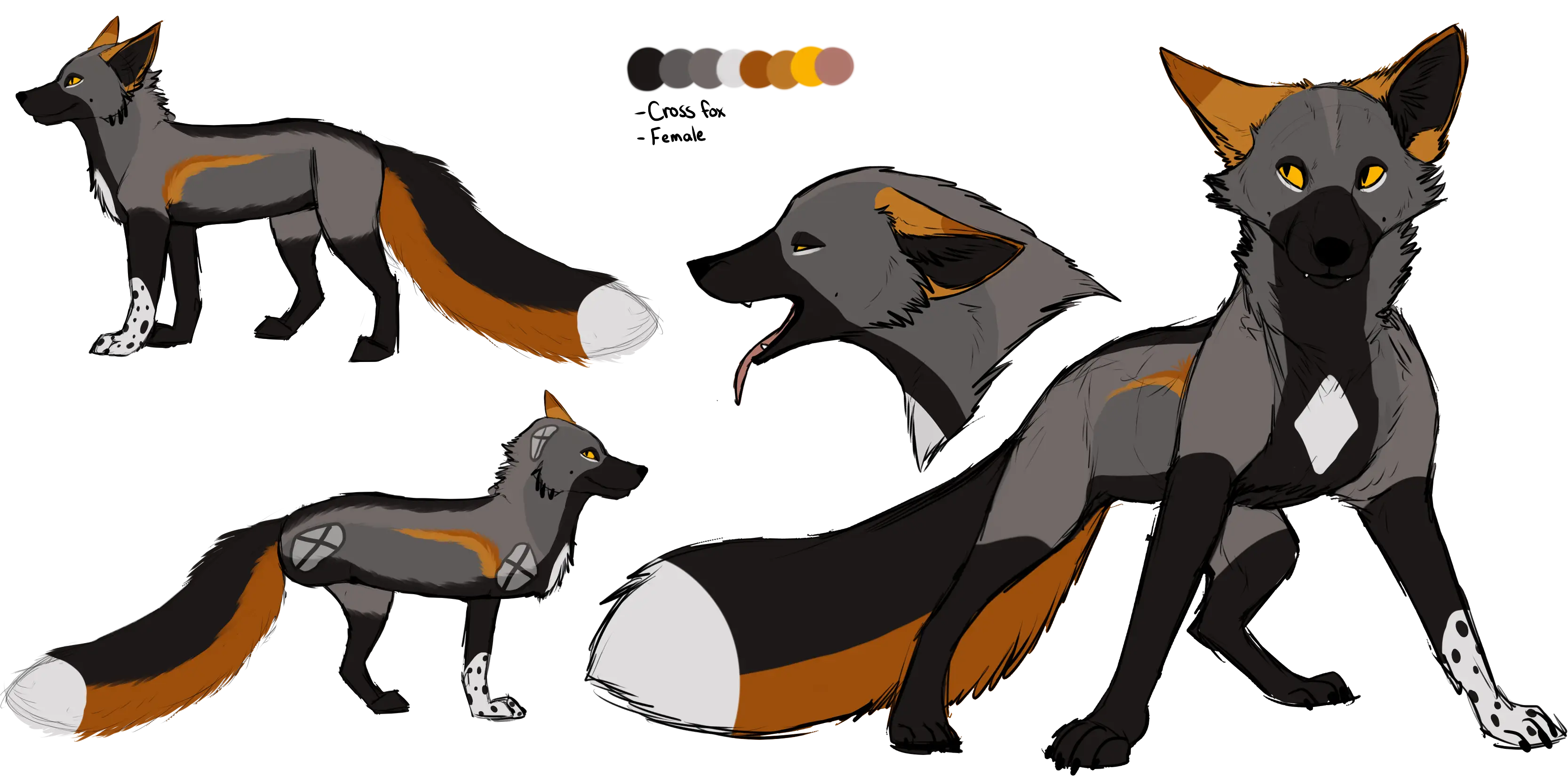 Fox Character Design