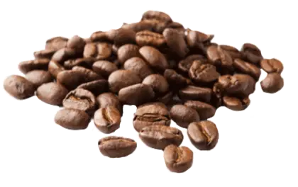 Coffee Beans in Close-Up