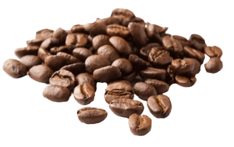 Coffee Beans in Close-Up