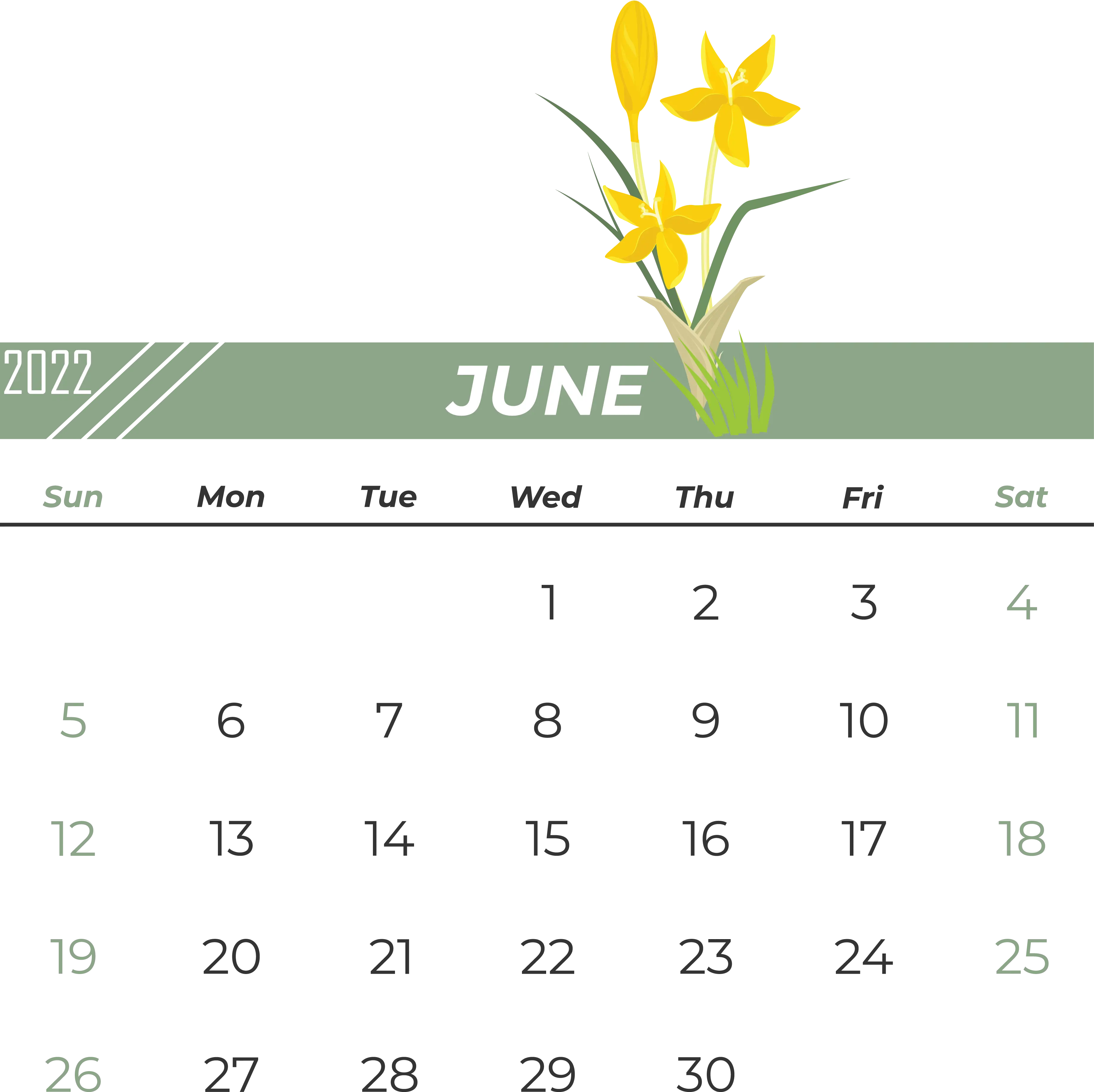 June 2022 Calendar with Yellow Daffodil Decoration