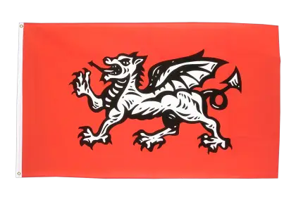 Red Flag with Black Dragon