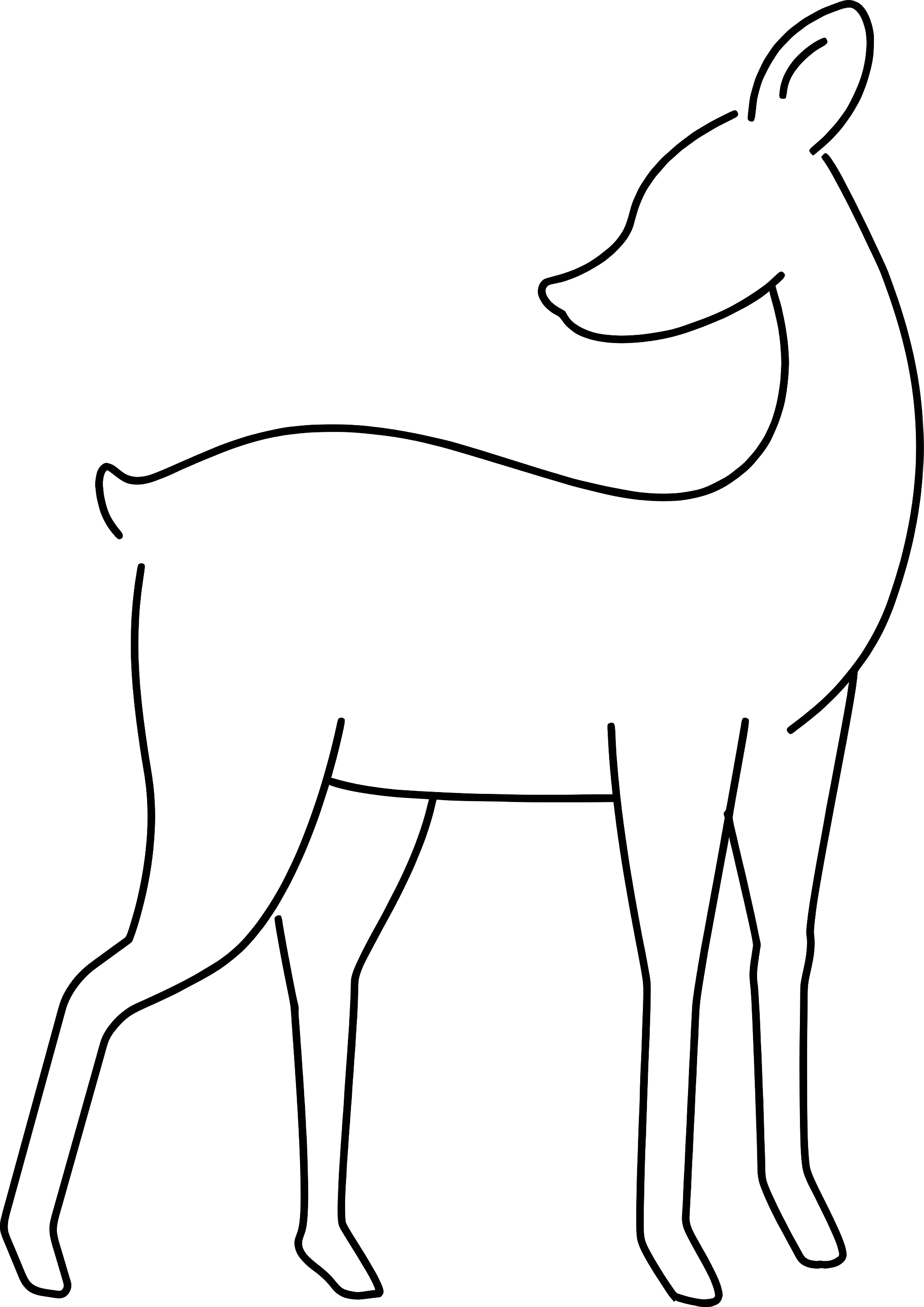 Outline of a Deer