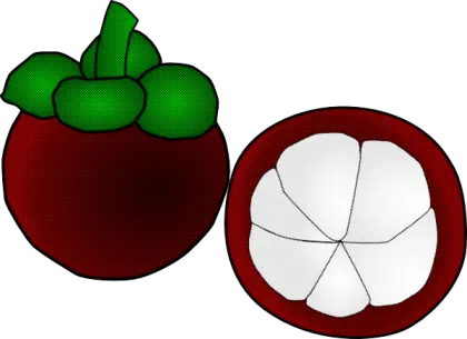 Mangosteen Fruit and Cross-section