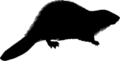 Black Beaver Silhouette