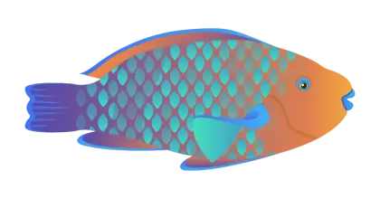Colorful Fish Illustration