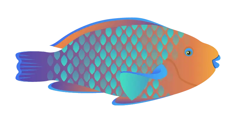 Colorful Fish Illustration