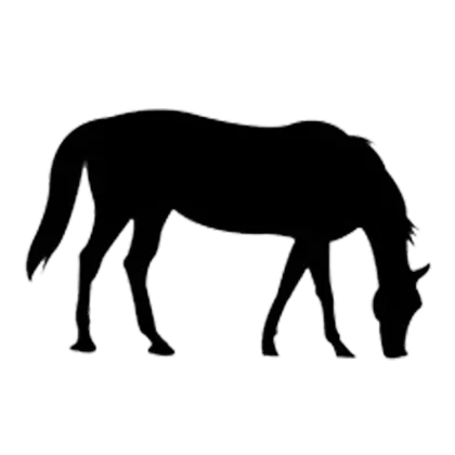 Silhouette of Grazing Horse in Black