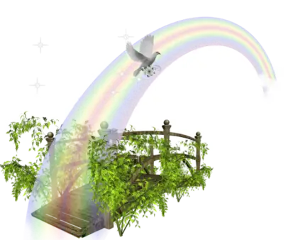Rainbow Over Bridge with Dove