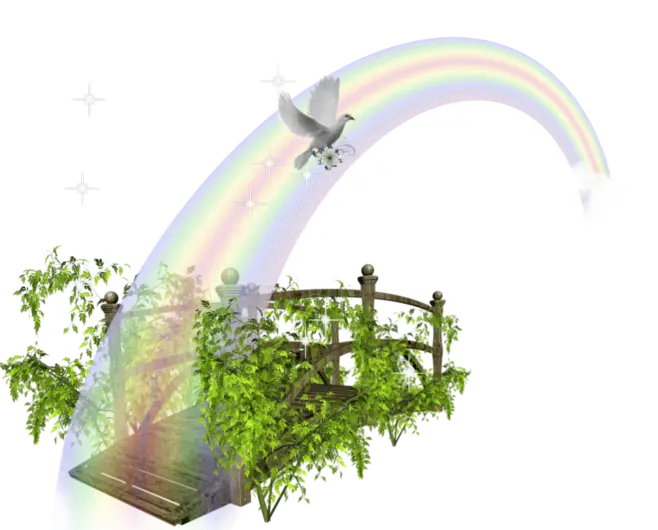 Rainbow Over Bridge with Dove