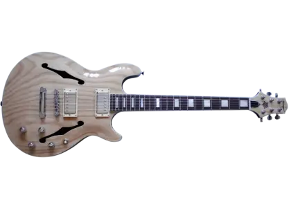 Hollow-Body Electric Guitar for Music