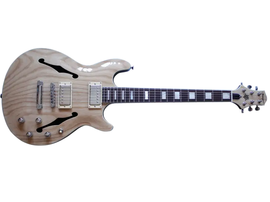 Hollow-Body Electric Guitar for Music