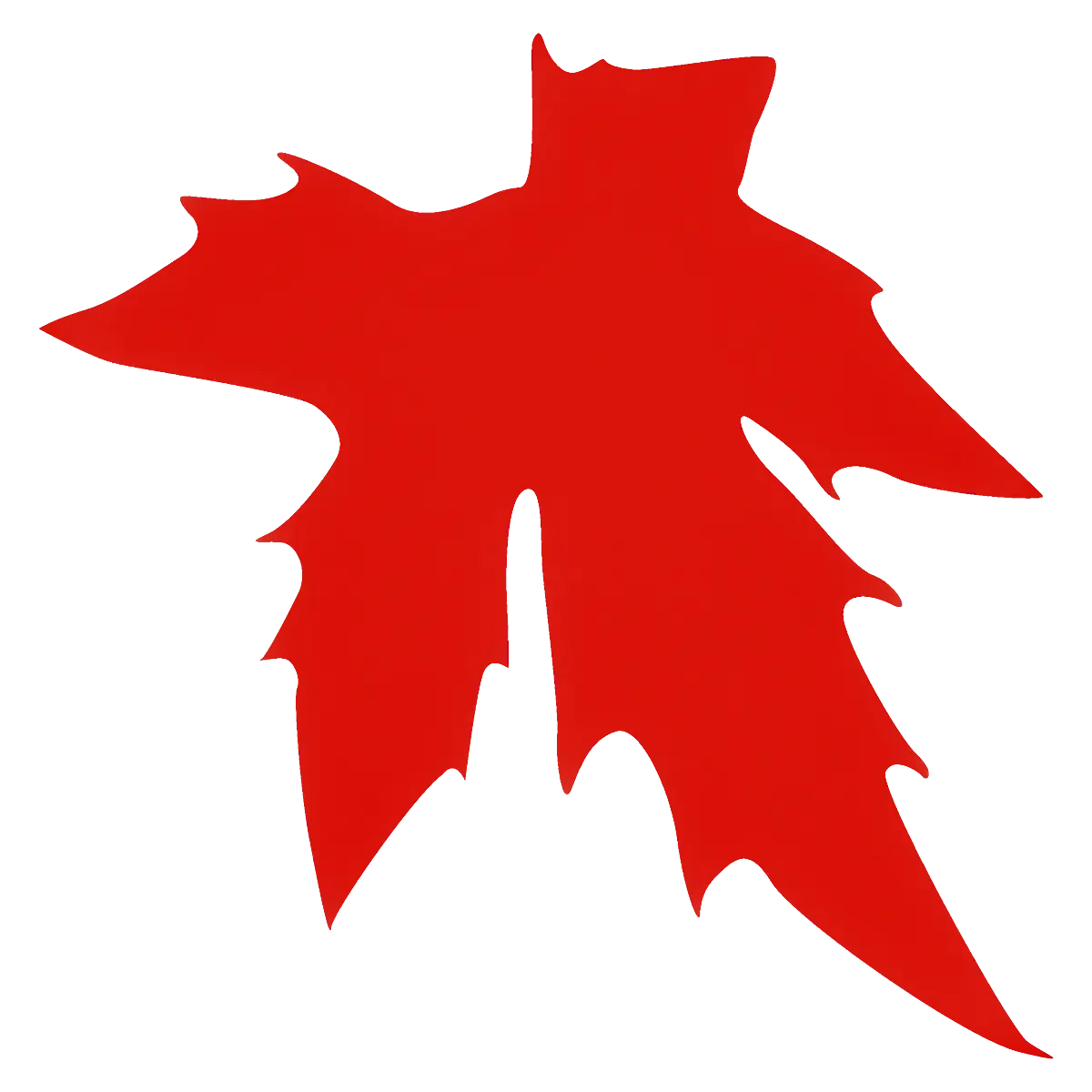 Red Maple Leaf