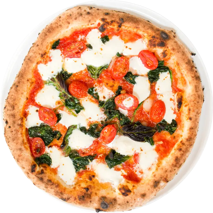 Delicious Italian Pizza with Cheese and Tomato