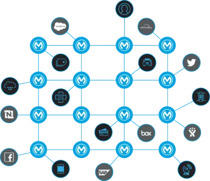 Network Diagram with Various Connections