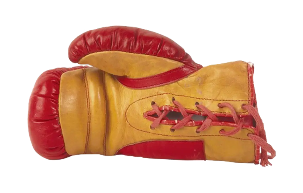 Red and Yellow Boxing Glove