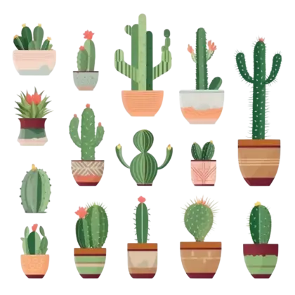 Potted Cactus Collection