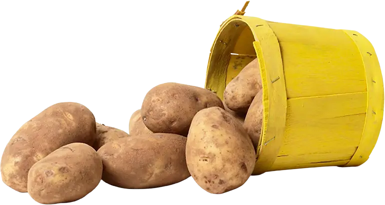 Fresh Potatoes in Yellow Basket
