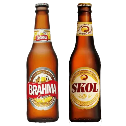 Brahma and Skol Beer Bottles