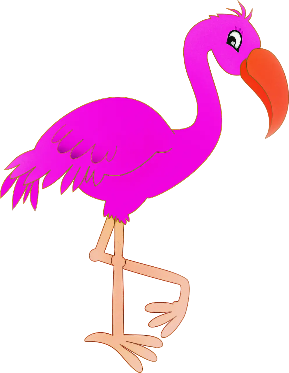 Pink Cartoon Flamingo Illustration