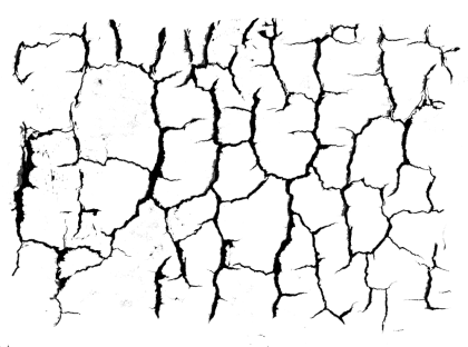 Cracked Earth Texture Illustration